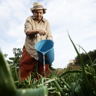 Garantia-Safra libera recursos para agricultores familiares de nove estados do Nordeste e de MG